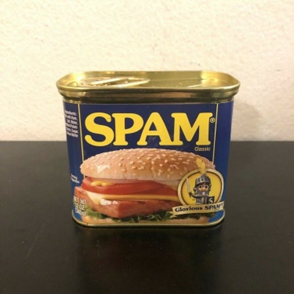 Brand New Spam Bank Security Coin Money Bank - Picture 1 of 6